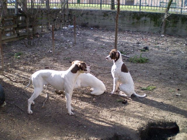 Ammily és Viki a "gyerekekkel"