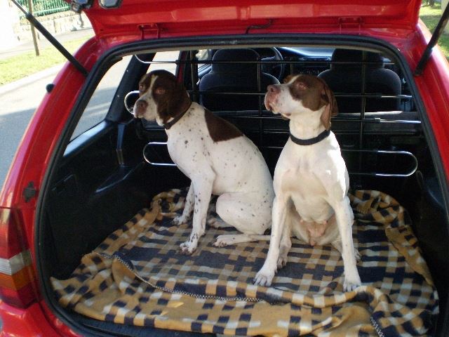 Újra csak ketten - "Indulunk a Püspök erdőbe" - 2008.február 3.