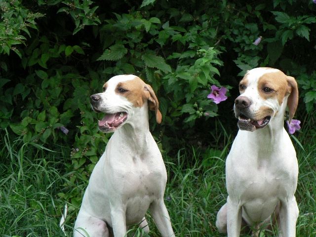 Ketten - Irisz/Felice és apja, Monty - 2008.július 17.