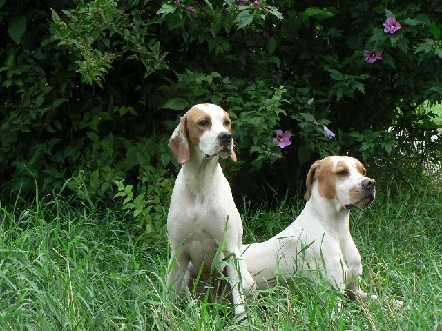 Ketten - Irisz/Felice és apja, Monty - 2008.július 17.