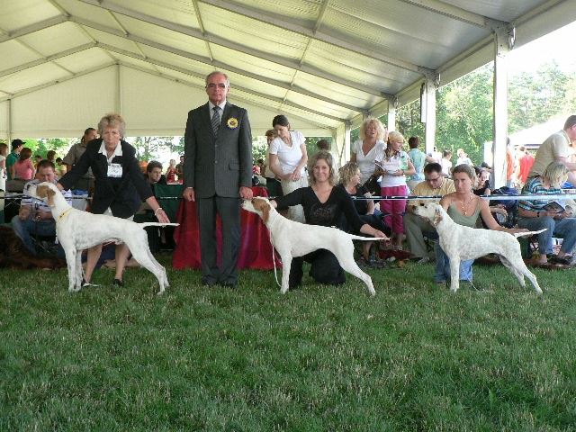 Irisz/Felice 2008.07.20.Szombathely Cacib-Fiatal osztály:HPJ,Best Junior Bíró:Piotr Krol Lengyelország
(Összevetés:HJCH Sáregresi Casanova,Csillaghegyi Foltos Irisz,HJCH Pawprint Celebration) 