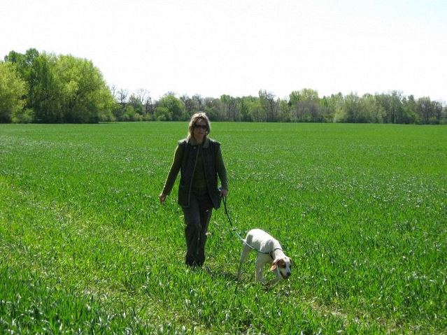 2008.04.20.Field Trial-Szlovákia-Irisz/Felice