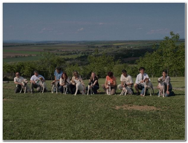 Magyar Pointer Klubkiállítás - 2009.05.09.Lovasberény 
Bíró:Mrs.Geraldine O'Driscol
Csillaghegyi-Foltos család - Balról jobbra:Iron,Izidor/Frodó,Viki,Ammily,Monty,Jenny,Jim Beam,Jack Daniels,Izabella/Szellő,Iphigeneia/Rozi