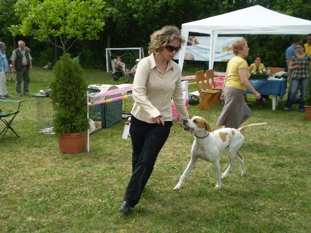 Magyar Pointer Klubkiállítás - 2009.05.09.Lovasberény 
Bíró:Mrs.Geraldine O'Driscol
Izidor/Frodó - Növendék osztály:CAC