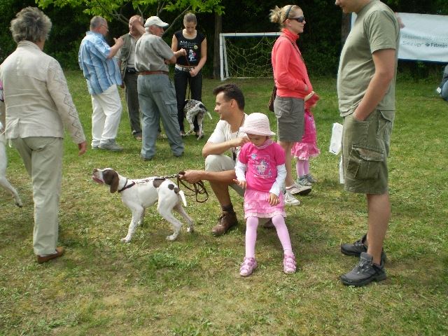 Magyar Pointer Klubkiállítás - 2009.05.09.Lovasberény -  
Jack új családjával

