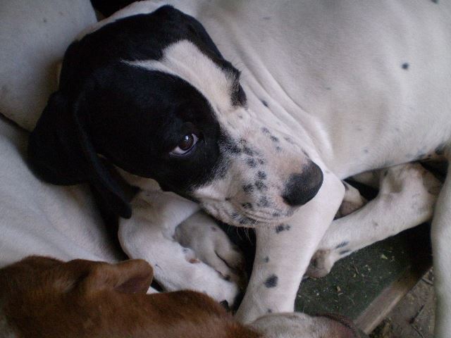 Jenny - 2009.május
