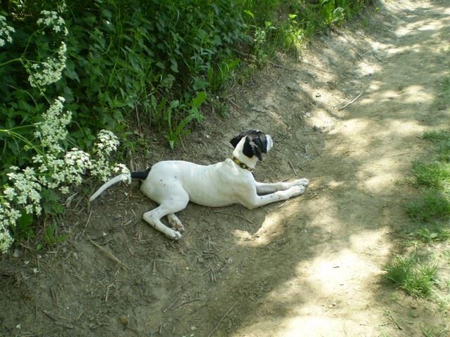 Jenny - Jásd - 2009.május 17.