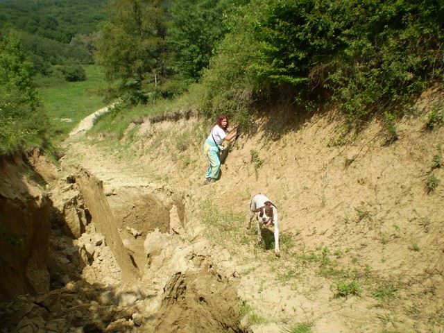 Bakonyi kirándulás (Ammily) - 2009.május 23.