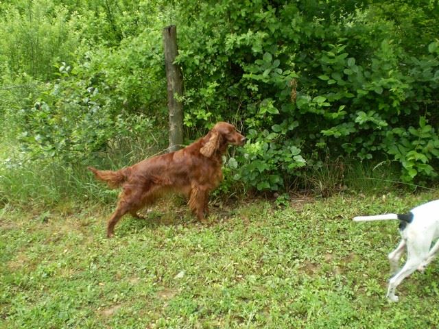 Mátra (Kint: Kelly)- 2009.május 30. - júni 1