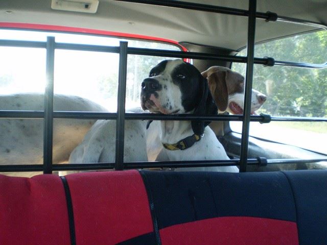 Jenny utolsó napjai nálunk - Lébényben Ironéknál - 2009.június 14.