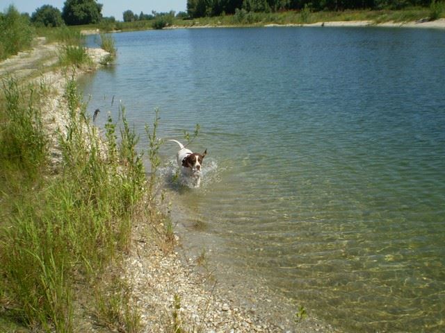 Jenny utolsó napjai nálunk - Lébényben Ironéknál (Ammily) - 2009.június 14.