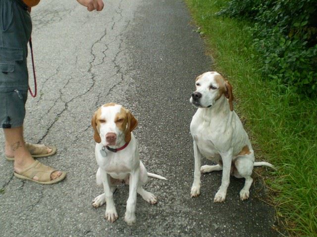 Janka látogatása Ausztriában - Janka és Anja,a pótmama-barátnő - 2009.június 21.