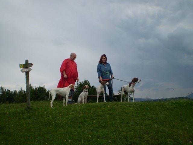 Janka látogatása Ausztriában -  A hegy tetején - 2009.június 21.