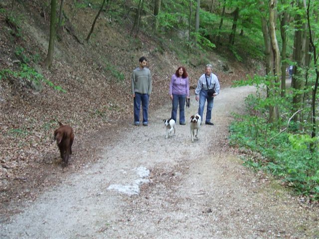 Bakonyi kirándulás (Ammily,Jenny,Kelly)- Cuha völgy,2009.04.18.