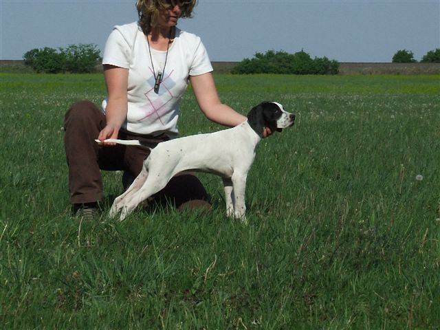 Jenny beállítva - Cece,Field Trial - 2009.04.25.