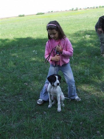 Jenny Rozival - Cece,Field Trial - 2009.04.25.
