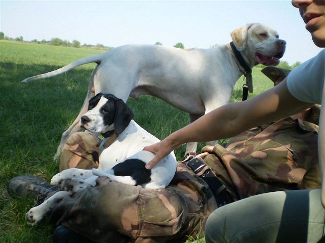 Iron,Jenny - Cece,Field Trial - 2009.04.25.