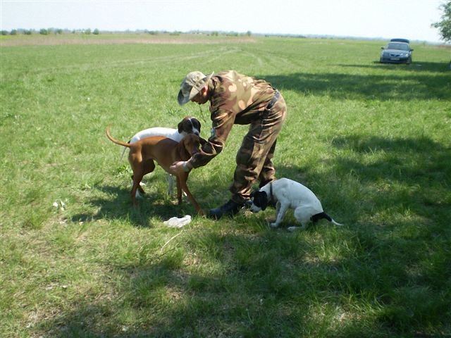 Jenny,Izabella/Szellő,Luca - Cece,Field Trial - 2009.04.25.
