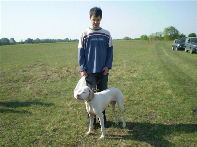 Iron Dinivel - Cece,Field Trial - 2009.04.25.