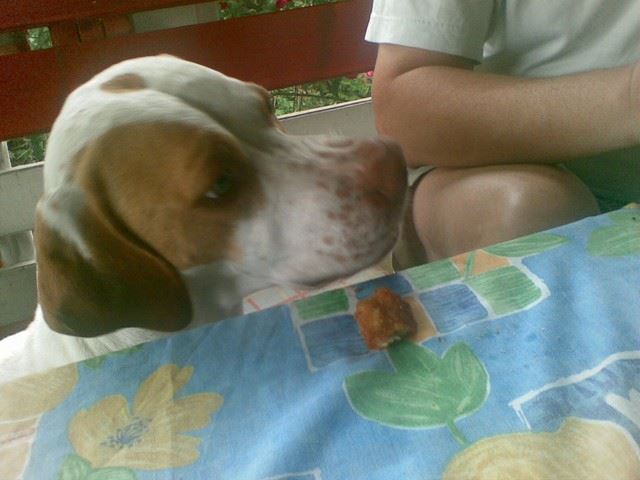 Iván