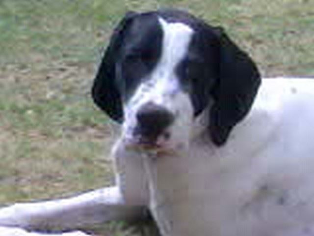 Jenny új otthonában (Izrael)