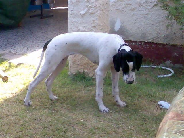 Jenny új otthonában (Izrael)