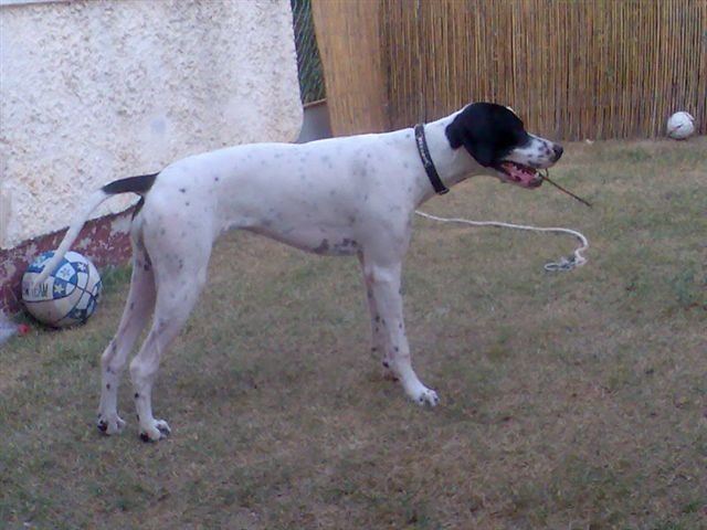Jenny