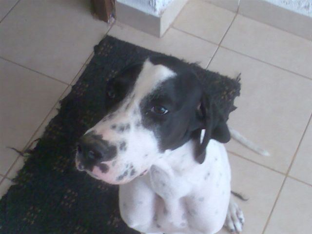 Jenny
