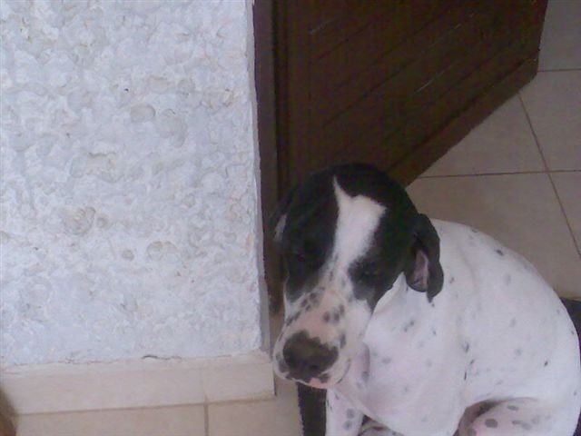 Jenny