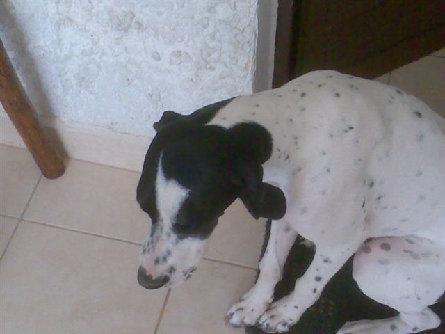 Jenny