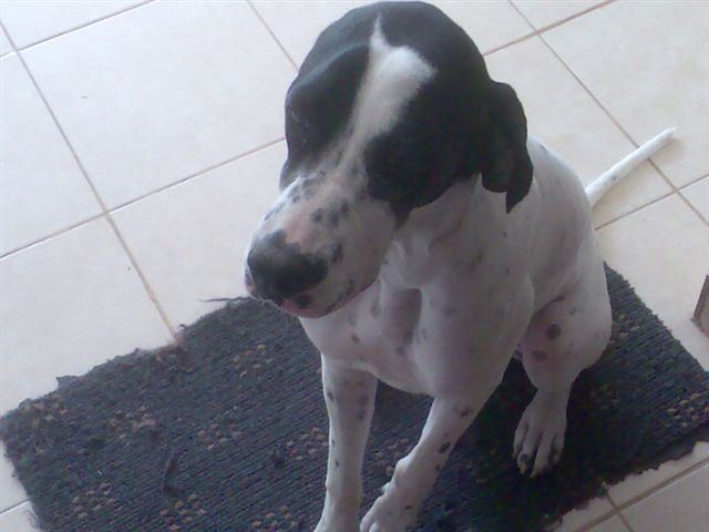 Jenny