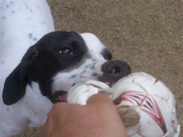Jenny