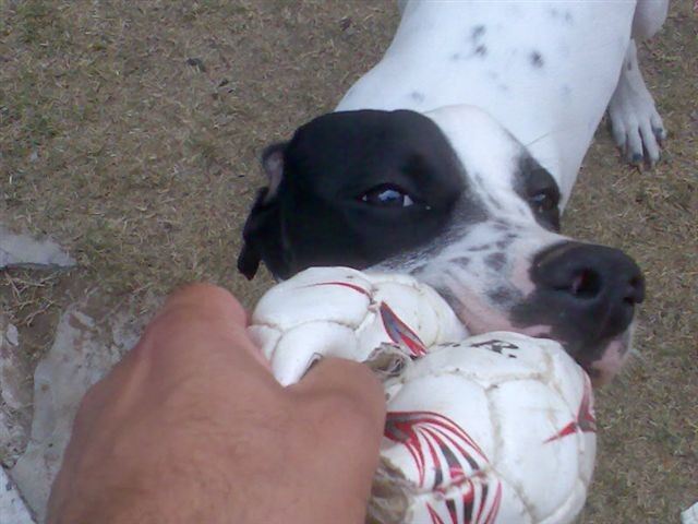 Jenny