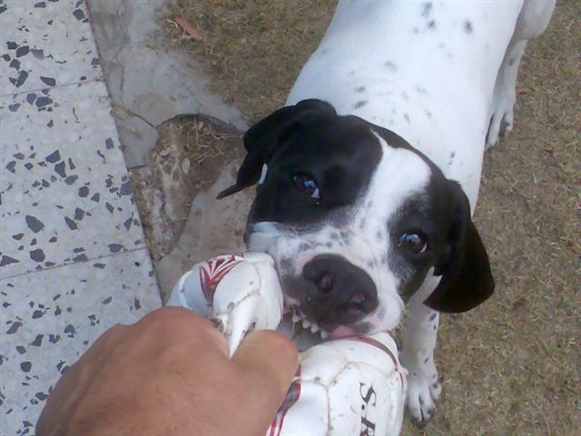 Jenny