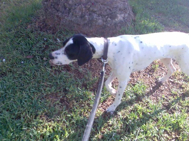 Jenny
