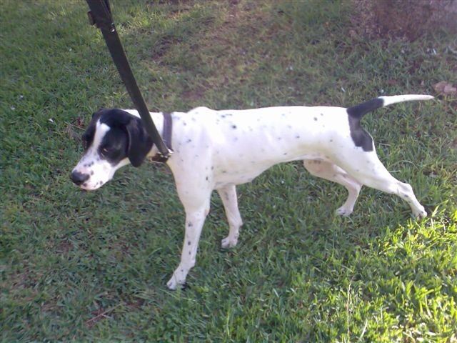 Jenny