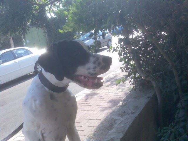 Jenny