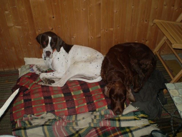 Mátra - Kelly,Ammily