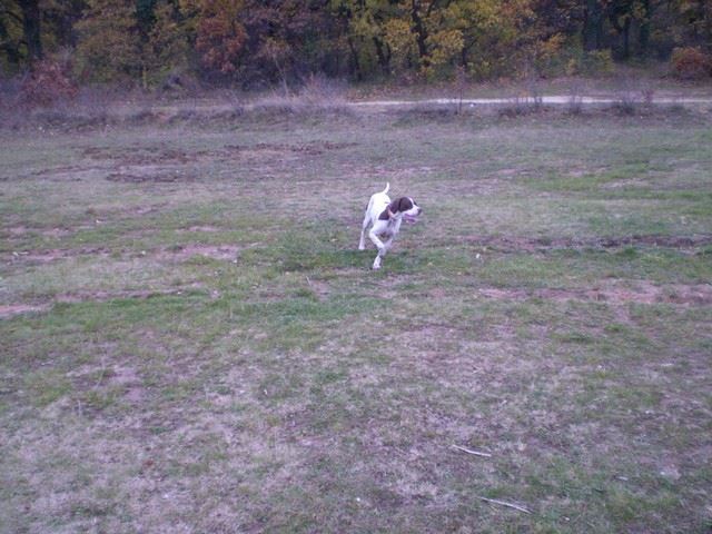 Balaton - Ammily  - 2009.november