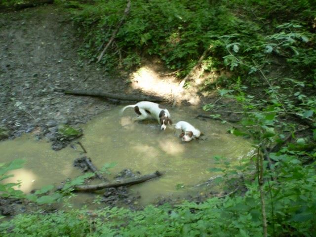 Bakony Burok völgy,Királyszállás - 2009.augusztus 30.