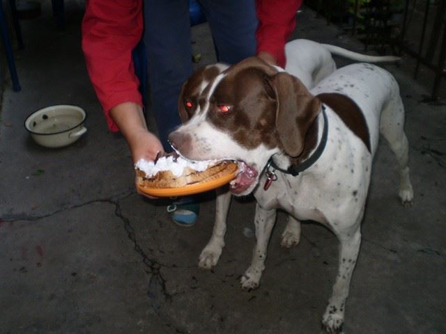 Ammily 5 éves - 2009.augusztus 30.