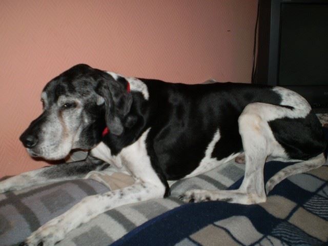 Fickó 2009.nyarán - 16 éves