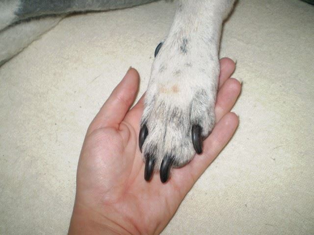 Fickó 2009.nyarán - 16 éves