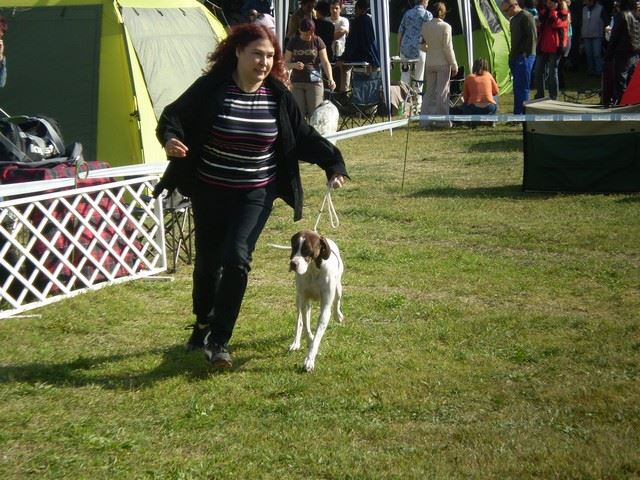 Komárom CACIB 2009.október 2. Champion osztály: Res CAC
Bíró:Gyárfás Marianne