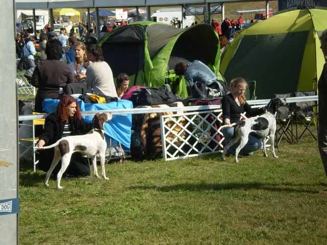 Komárom CACIB 2009.október 2. Champion osztály: Res CAC
Bíró:Gyárfás Marianne
(A képen még Zoé )