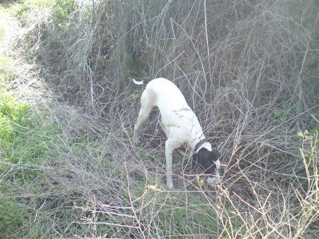 Jenny (Izrael)- 2009.december