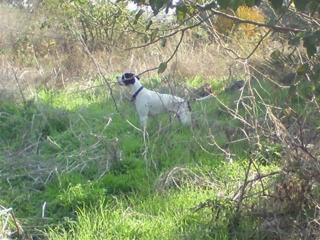 Jenny (Izrael)- 2009.december