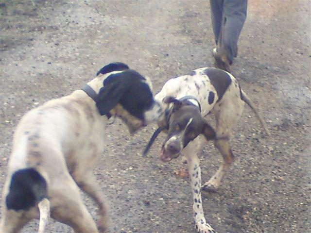 Jenny (Izrael)- 2009.december