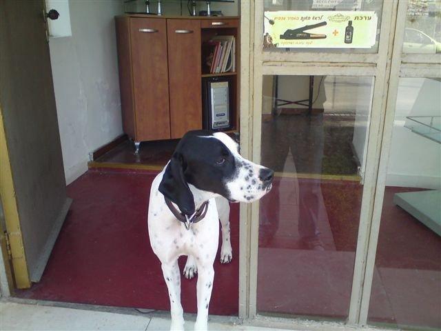 Jenny (Izrael)- 2009.december