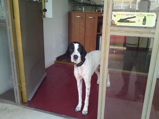 Jenny (Izrael)- 2009.december